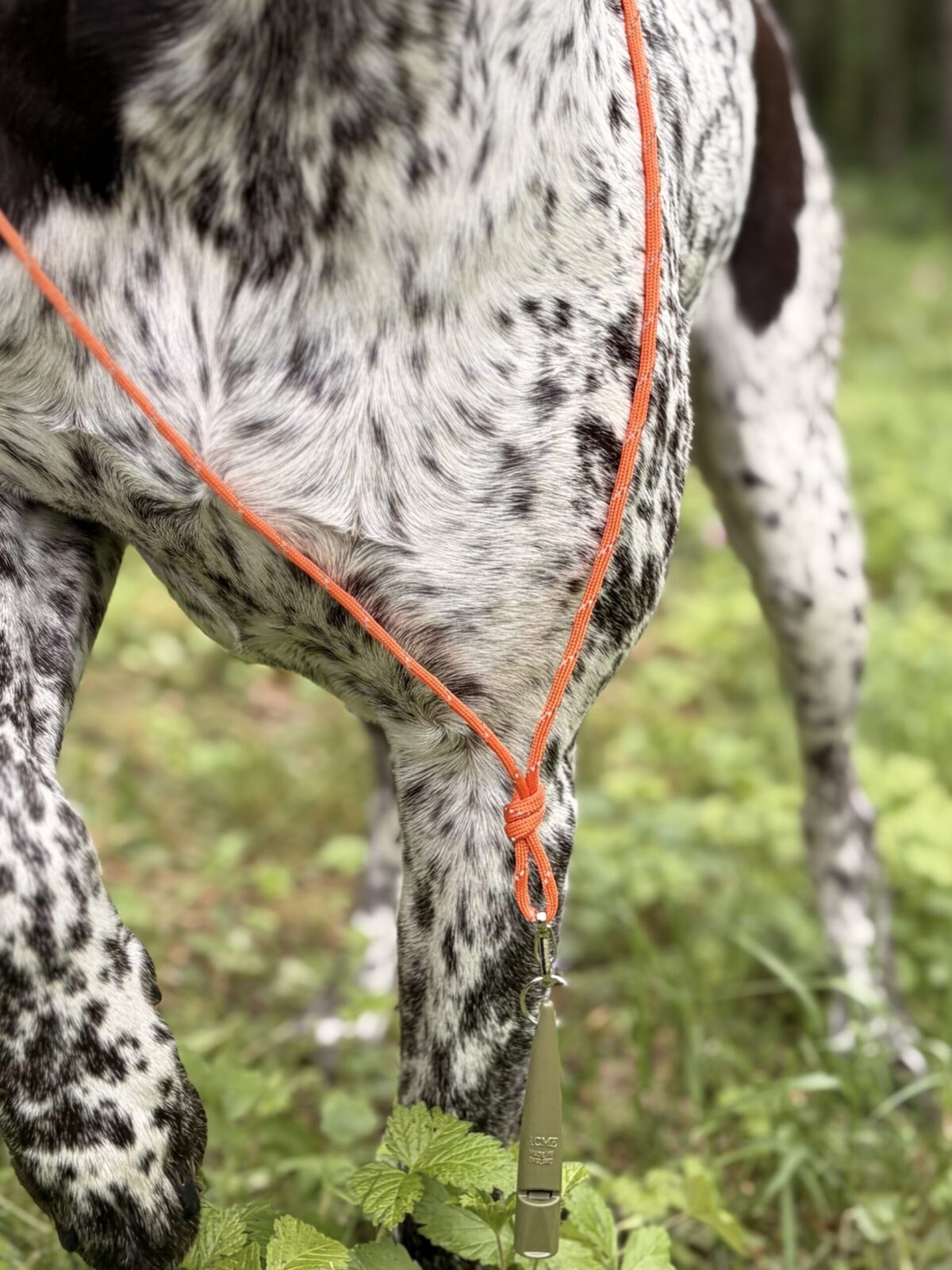 Heijastava Louven Pets pillinaru koiran koulutuspilliin. Kirkkaan oranssi Paracord-naru parantaa näkyvyyttä maastossa ja hämärässä liikuttaessa. Valmistettu käsityönä Rovaniemellä.