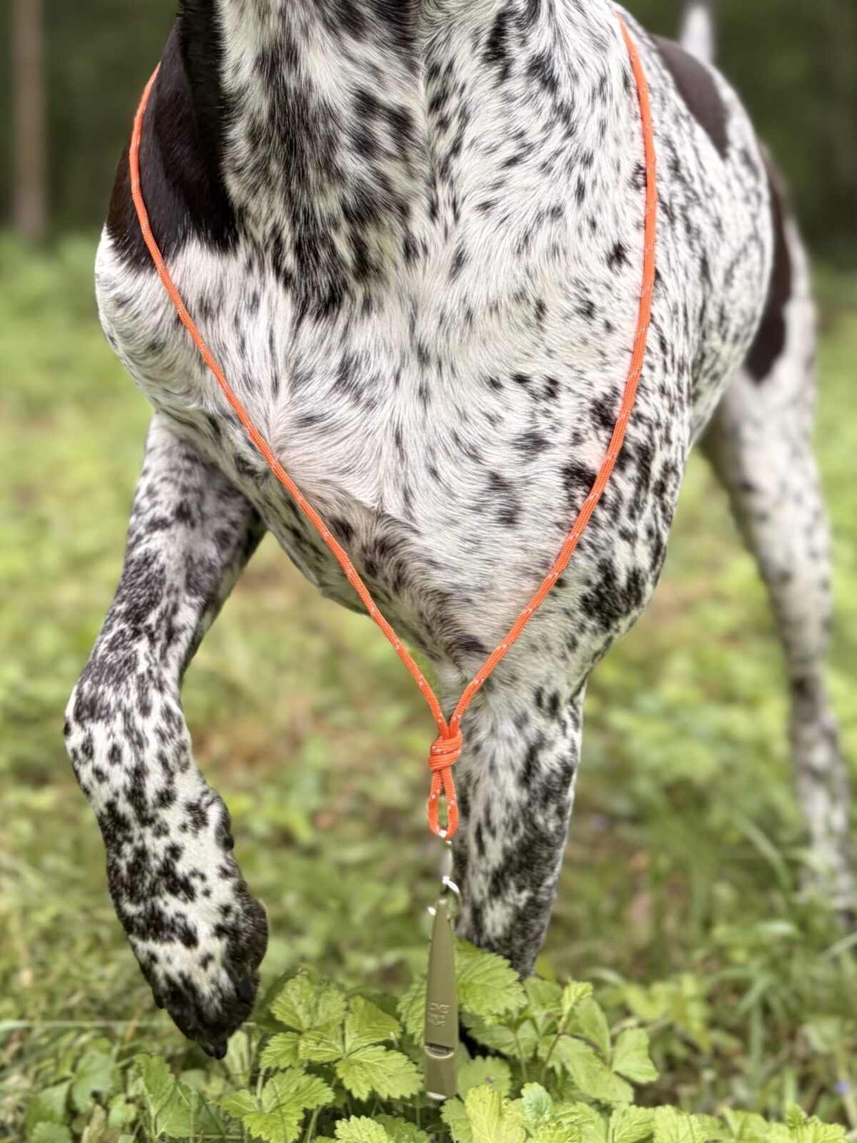 Heijastava Louven Pets pillinaru koiran koulutuspilliin. Kirkkaan oranssi Paracord-naru parantaa näkyvyyttä maastossa ja hämärässä liikuttaessa. Valmistettu käsityönä Rovaniemellä.